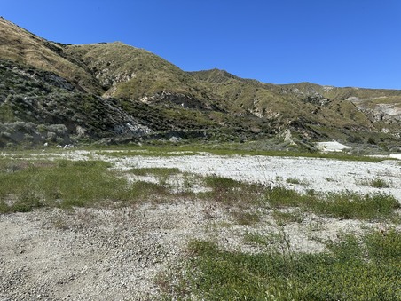Enlarge photo 51