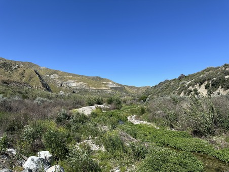 Enlarge photo 49