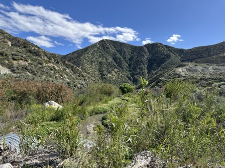 Enlarge photo 48