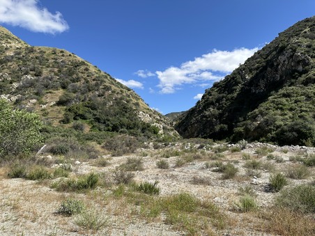 Enlarge photo 47