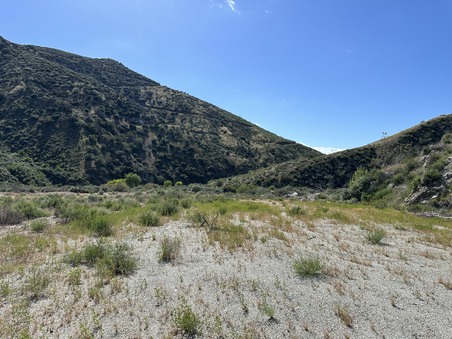 Enlarge photo 46