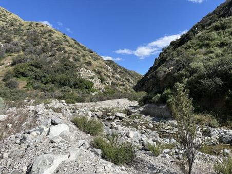 Enlarge photo 45