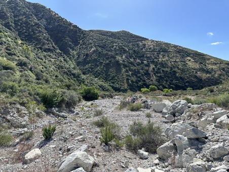 Enlarge photo 44