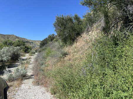 Enlarge photo 43
