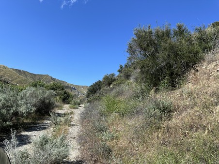 Enlarge photo 42