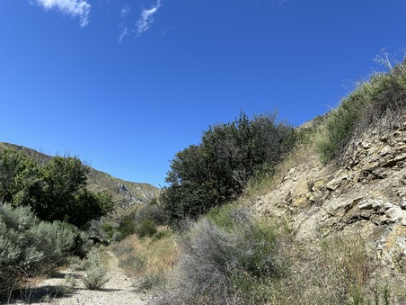 Enlarge photo 41