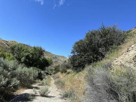 Enlarge photo 40