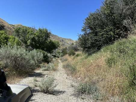 Enlarge photo 39