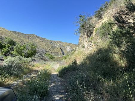 Enlarge photo 38