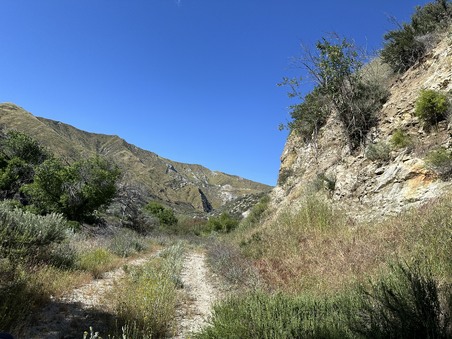 Enlarge photo 37