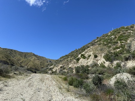 Enlarge photo 36