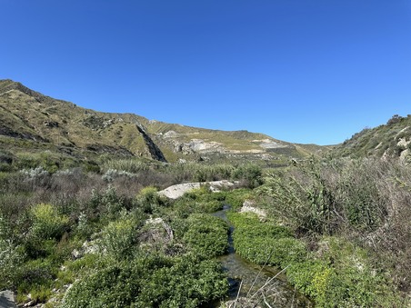 Enlarge photo 35