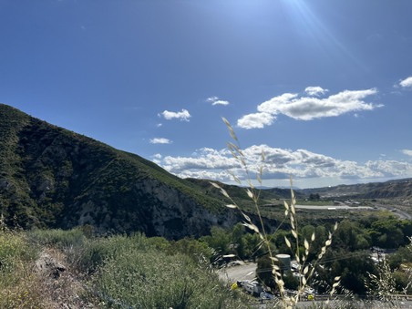 Enlarge photo 33
