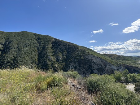 Enlarge photo 32