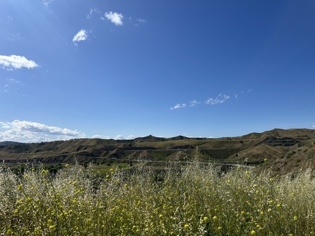 Enlarge photo 28