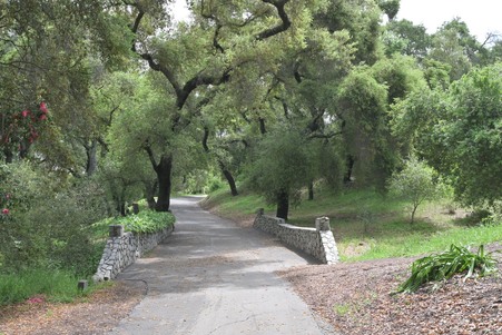 Enlarge photo 1