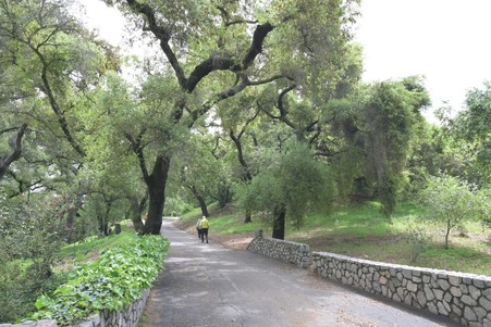 Enlarge photo 6