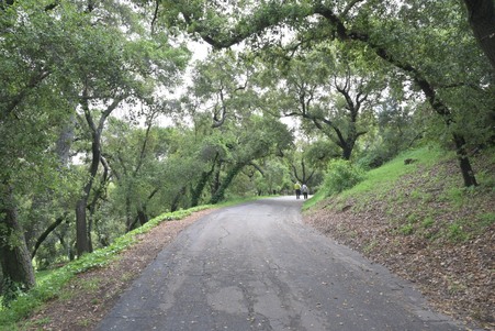 Enlarge photo 8