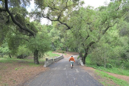 Enlarge photo 9