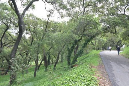 Enlarge photo 10