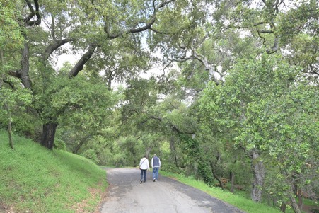 Enlarge photo 12