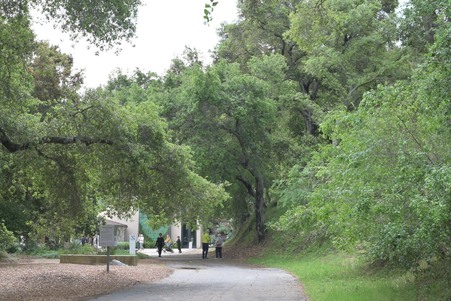 Enlarge photo 14