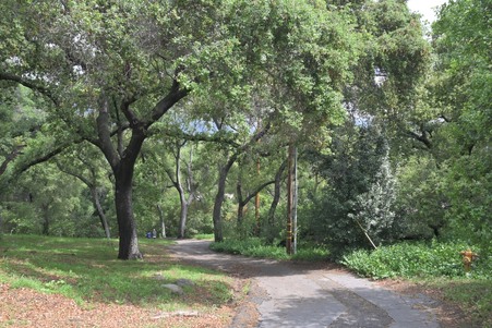 Enlarge photo 43