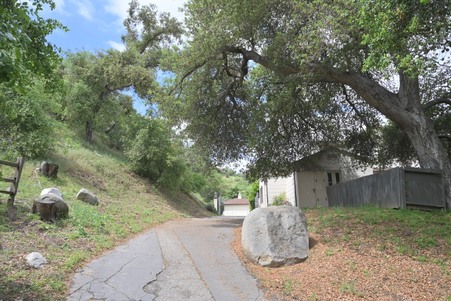 Enlarge photo 44