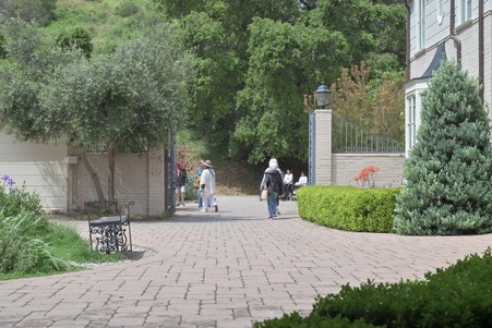 Enlarge photo 50