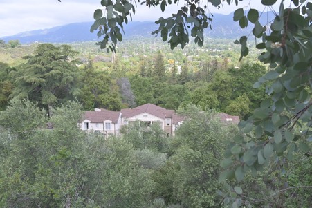 Enlarge photo 71