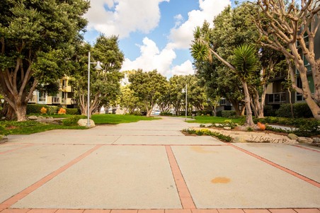 Enlarge photo 47