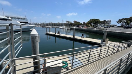 Enlarge photo 11