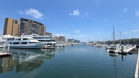 Enlarge photo 25