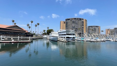 Enlarge photo 30