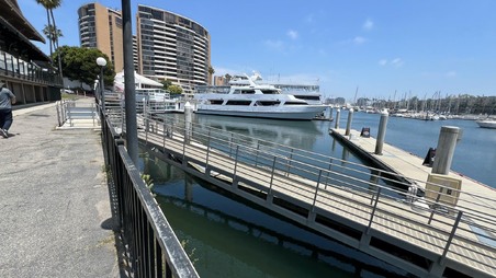 Enlarge photo 49