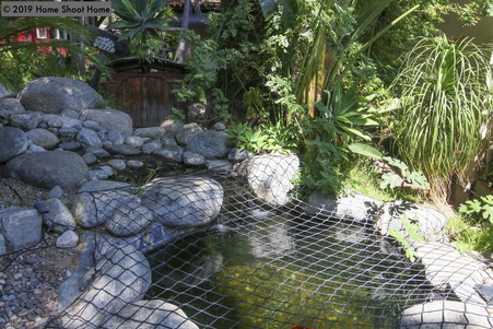 Enlarge photo 30
