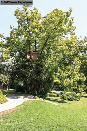 Enlarge photo 6