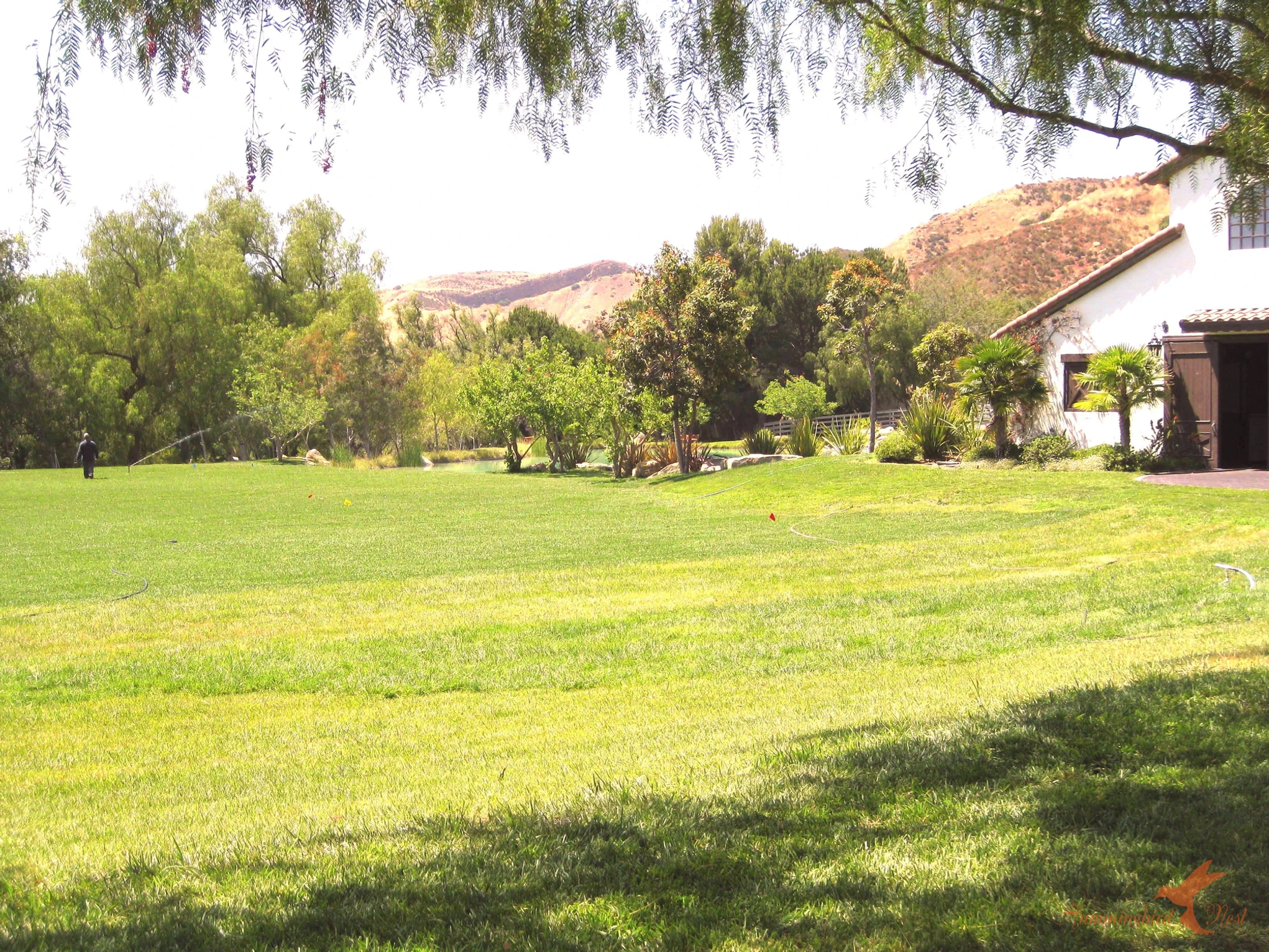 Enlarge photo 32