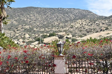 Enlarge photo 62