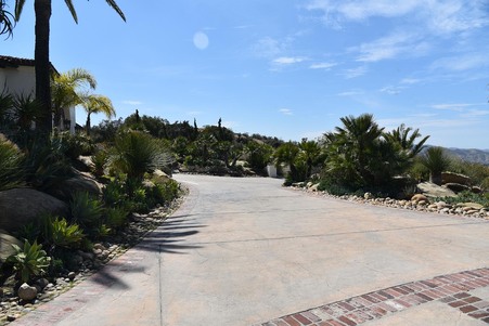 Enlarge photo 63