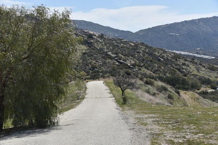 Enlarge photo 54