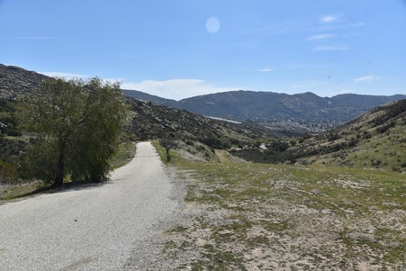 Enlarge photo 53