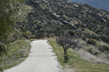 Enlarge photo 52