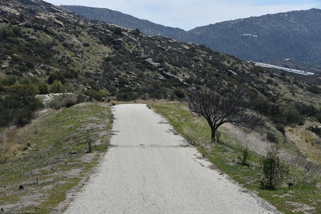 Enlarge photo 51