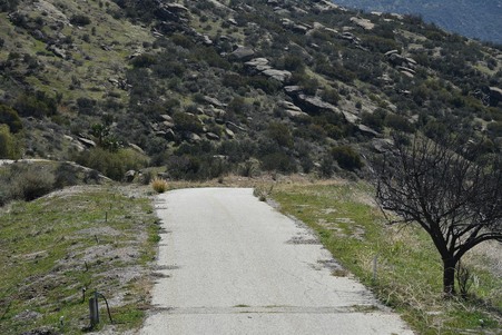 Enlarge photo 49
