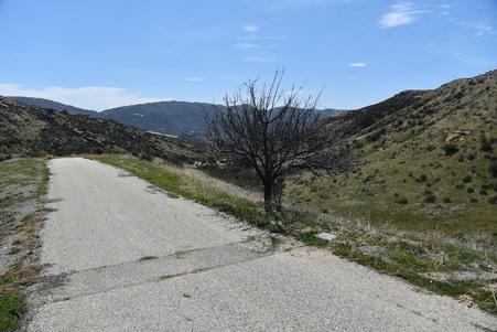Enlarge photo 47
