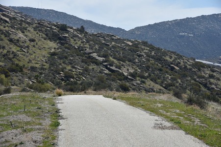 Enlarge photo 46