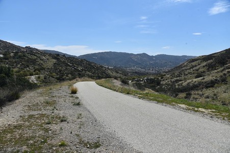 Enlarge photo 45
