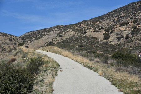 Enlarge photo 42