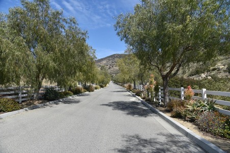 Enlarge photo 40